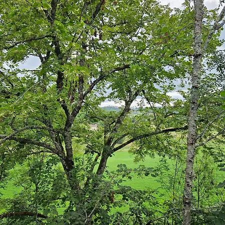 Le Belvedere Et Bien Etre 3*