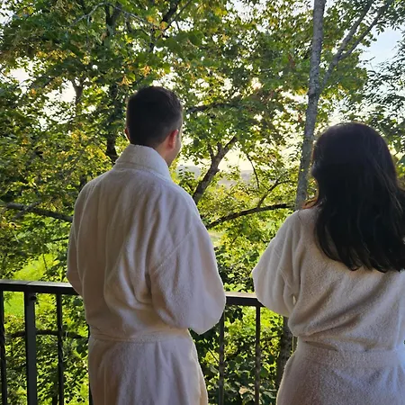 Hotel Le Belvedere Et Bien Etre