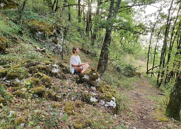 Hotel Le Belvédère Et Bien 3*